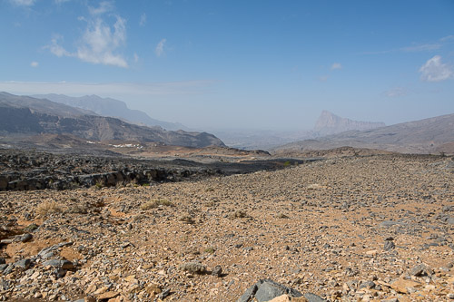 dsc_2847.jpg