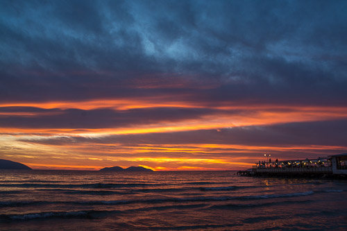 DSC_3250.jpg