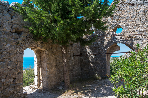 DSC_3390.jpg