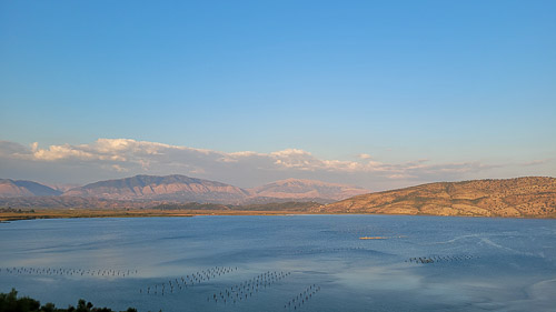 DSC_3469_20230811_190408.jpg
