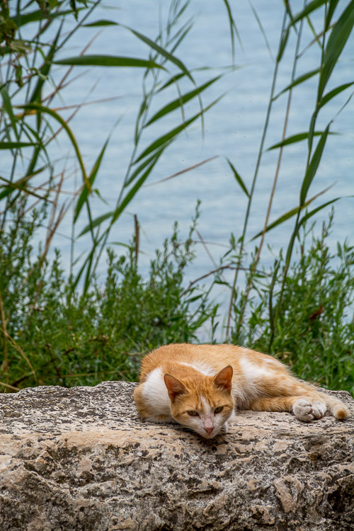 DSC_3519.jpg