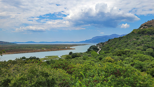 DSC_3538_20230812_121133.jpg