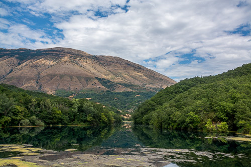 DSC_3541.jpg