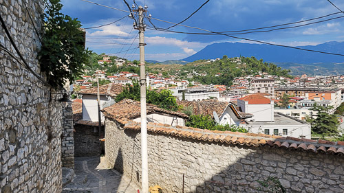 DSC_3822_20230813_154710.jpg