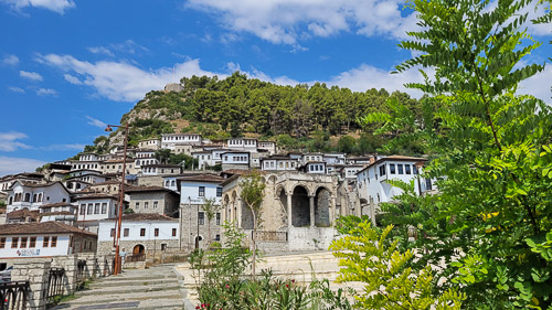 DSC_3948_20230814_101716.jpg