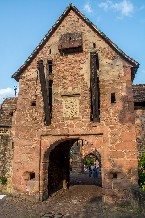 DSC_2523.jpg