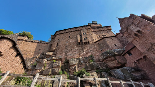 DSC_2627_20230711_095643.jpg