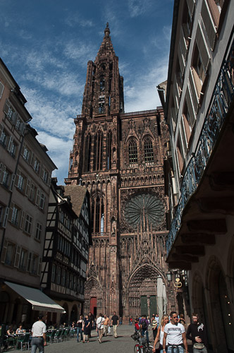 dsc_90139.jpg