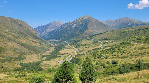 DSC_4133_20240809_152903.jpg