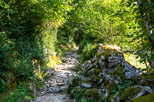 DSC_4149.jpg