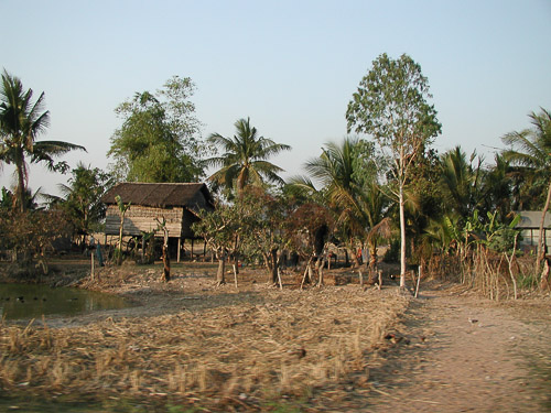 file12.jpg