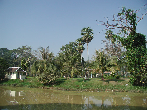 file14.jpg