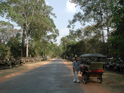 p1241817.jpg