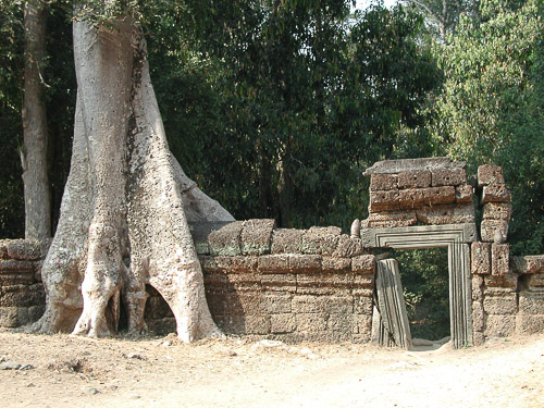 p1241833.jpg
