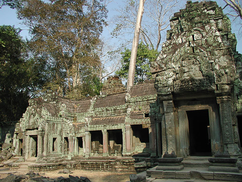p1241834.jpg
