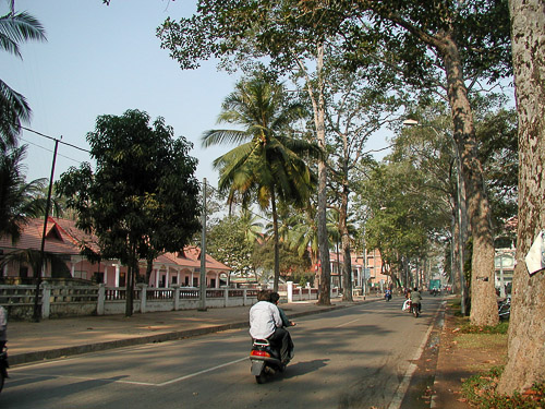 p1251930.jpg