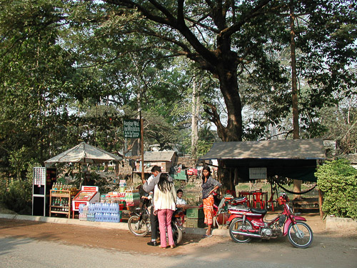 p1251944.jpg