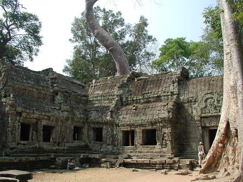 p1251946.jpg