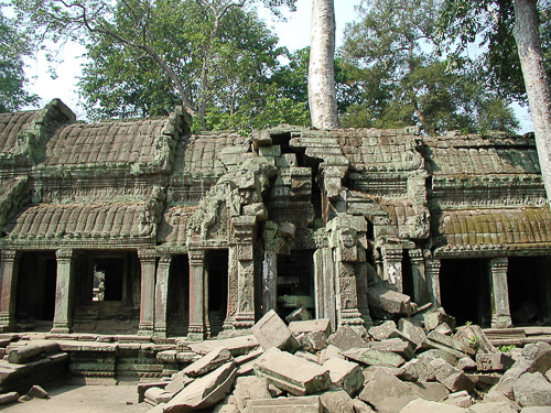 p1251950.jpg
