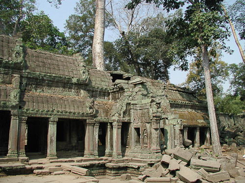 p1251952.jpg