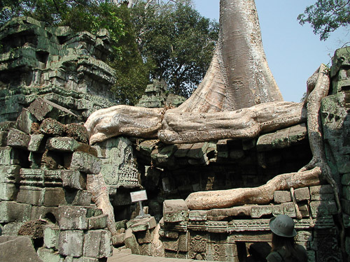 p1251955.jpg