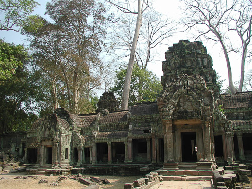 p1251971.jpg