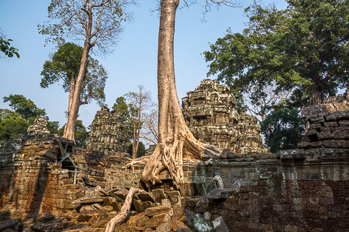 DSC_8672.jpg