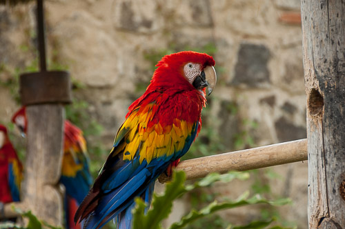 dsc_5230.jpg