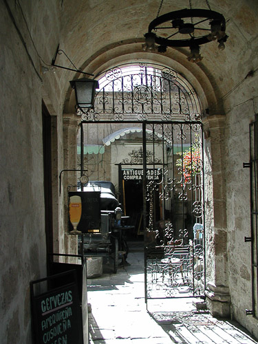 p5250200.jpg