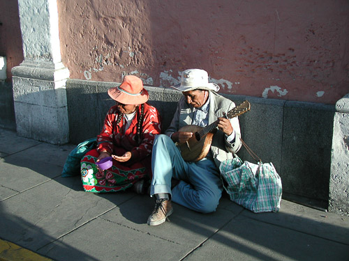 p5250253.jpg