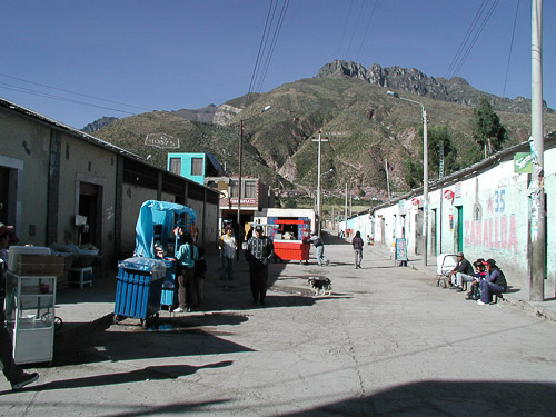 p5260027.jpg