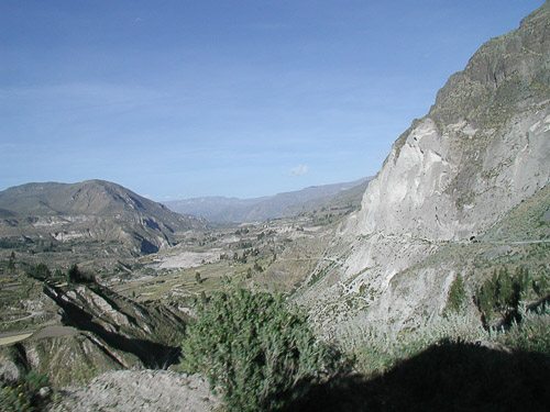 p5260039.jpg