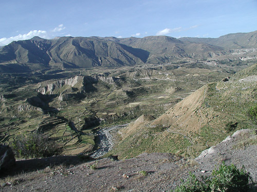 p5260042.jpg