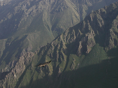 p5270097.jpg