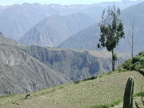 p5270141.jpg
