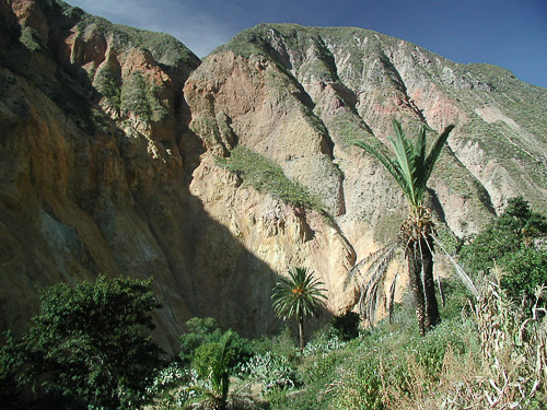 p5270179.jpg