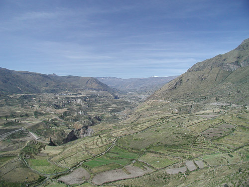 p5280220.jpg