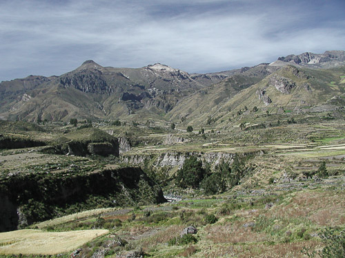 p5280312.jpg