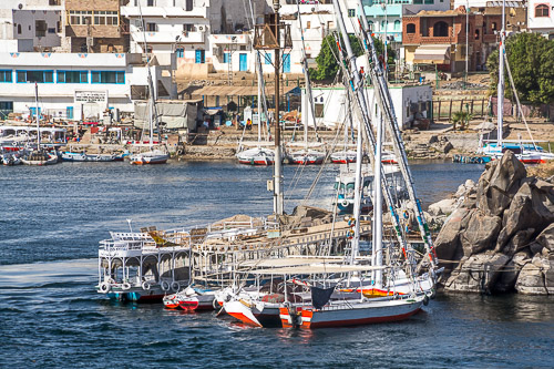 DSC_5784.jpg