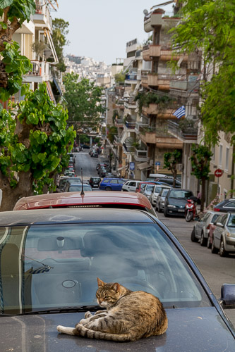 dsc_6559.jpg