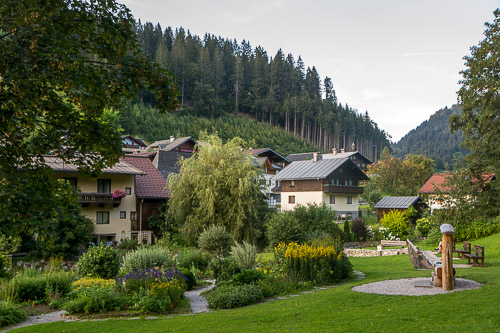 dsc_4488.jpg