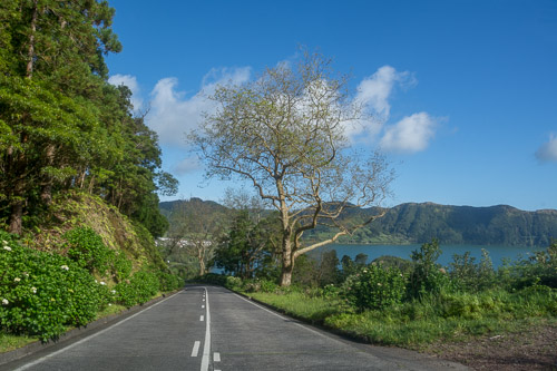 dsc_0146.jpg