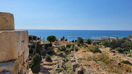 DSC_3634.jpg