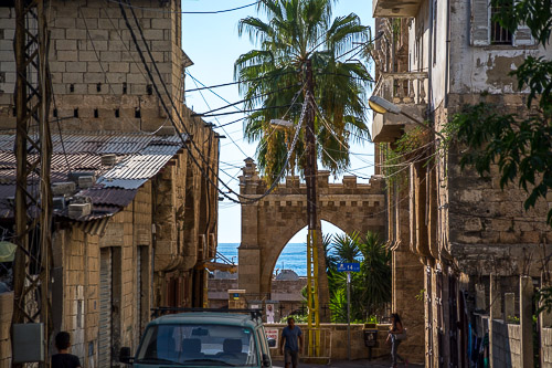 DSC_3697.jpg