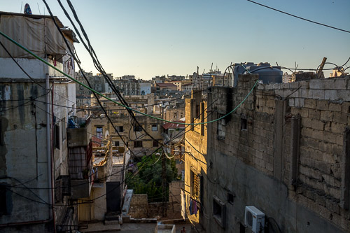 DSC_3777.jpg