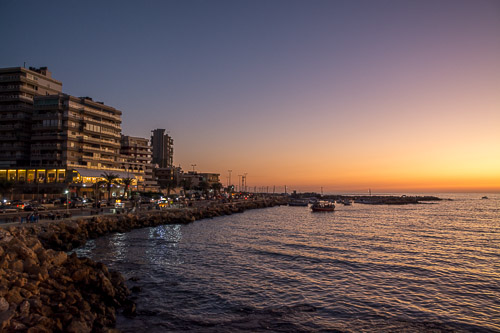 DSC_3806.jpg