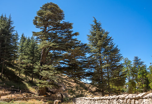 DSC_3916.jpg