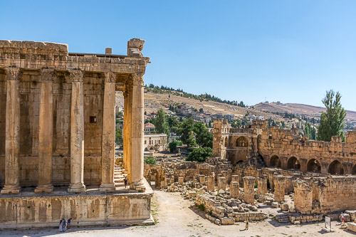 DSC_4026.jpg