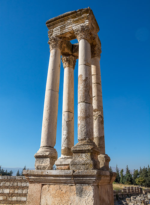 DSC_4083.jpg