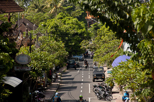 dsc_5916.jpg